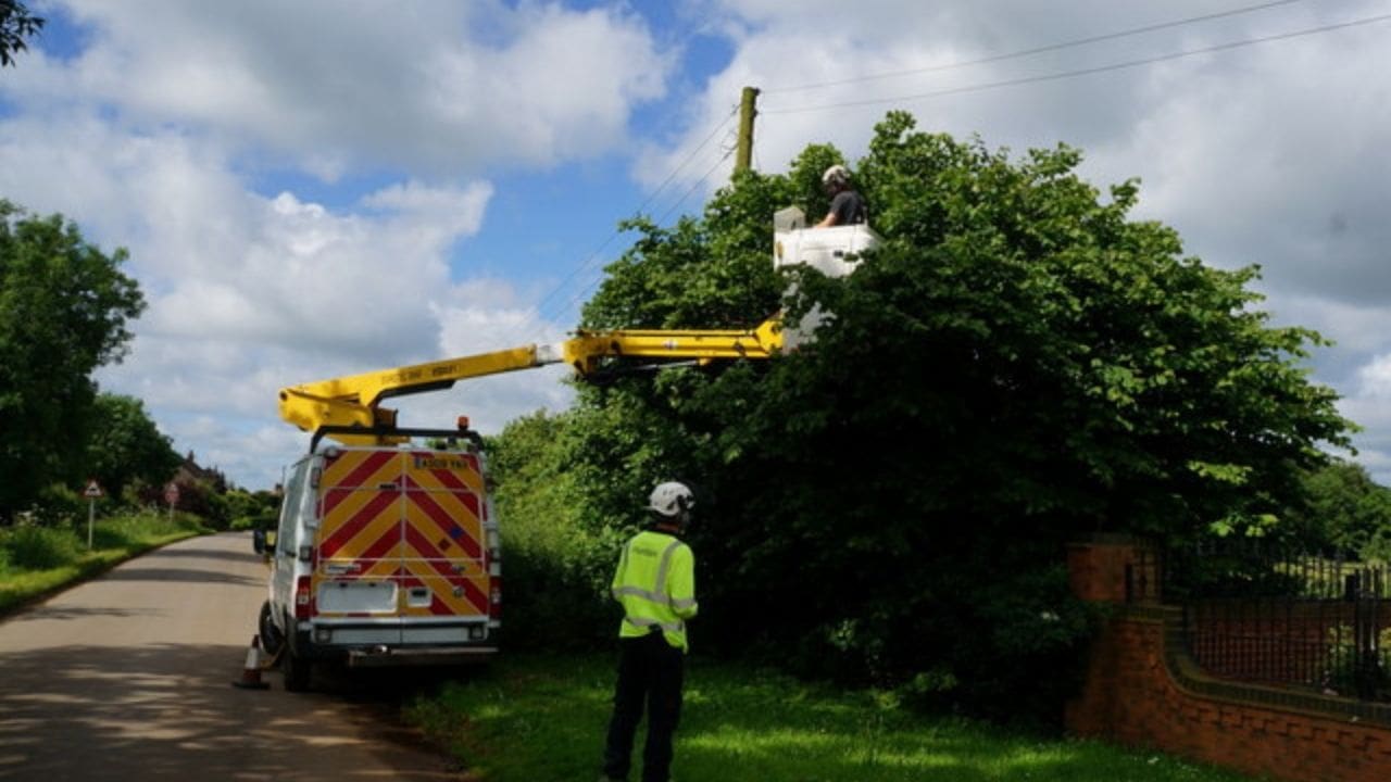 Safe And Sound Mastering Tree Pruning And Removal Safety In Municipal