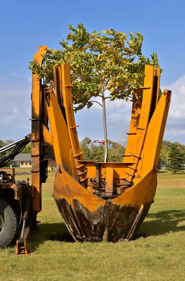 pge tree trimming