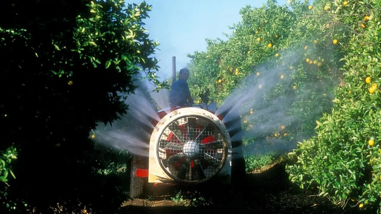 tree health pilot 2023