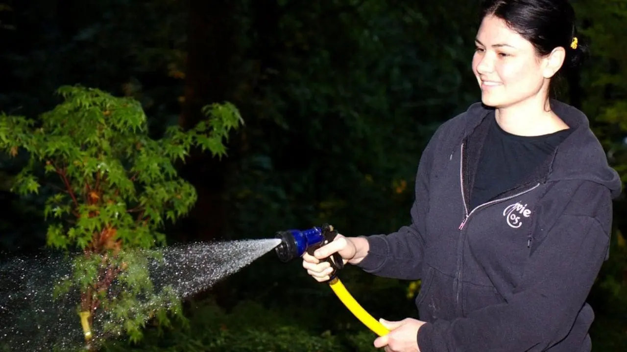 tree service companies near me reviews