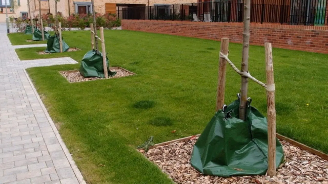 tree health pilot defra