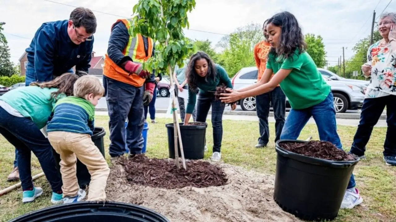 tree planting health assessment sites