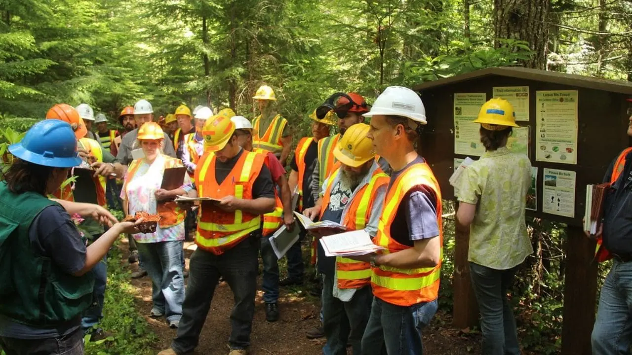 countryside stewardship tree health grant