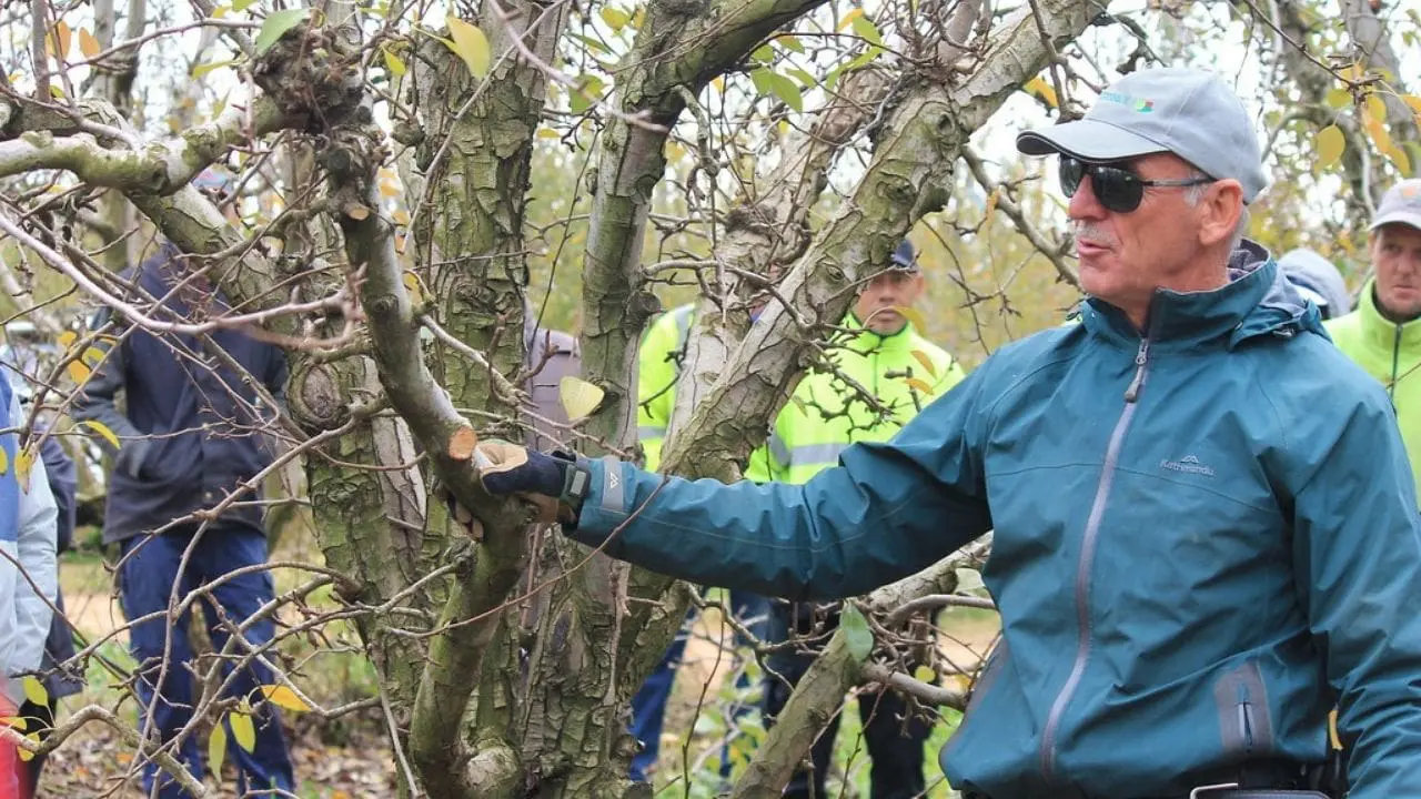 tree service reviews near me